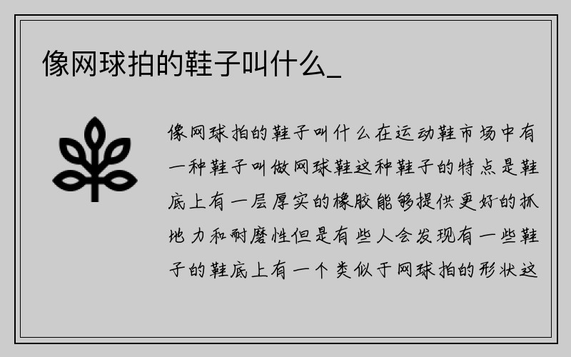 像网球拍的鞋子叫什么_