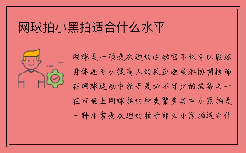 网球拍小黑拍适合什么水平